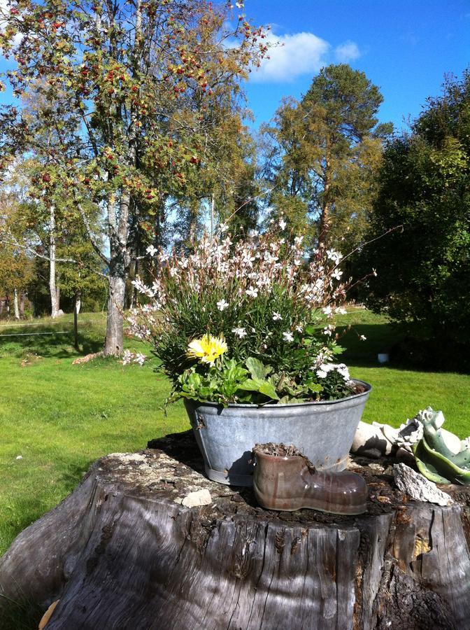 Hoeglunda Gard B&B Lantgard Skanderåsen المظهر الخارجي الصورة